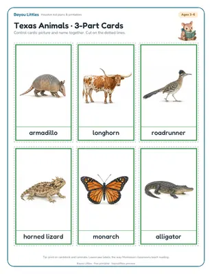 Preview of the Texas animals 3-part cards printable